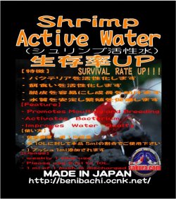画像1: 生存率ＵＰ　Shrimp Active Water　超徳用2Ｌ