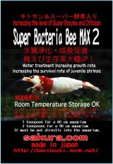 バクテリア　スーパーBee　MAX2　徳用100ｇ
