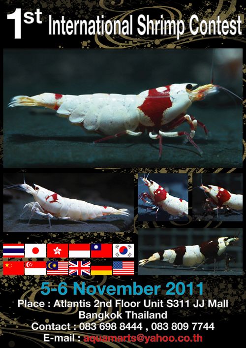 画像: International Shrimp Contest　2011 延期のお知らせ