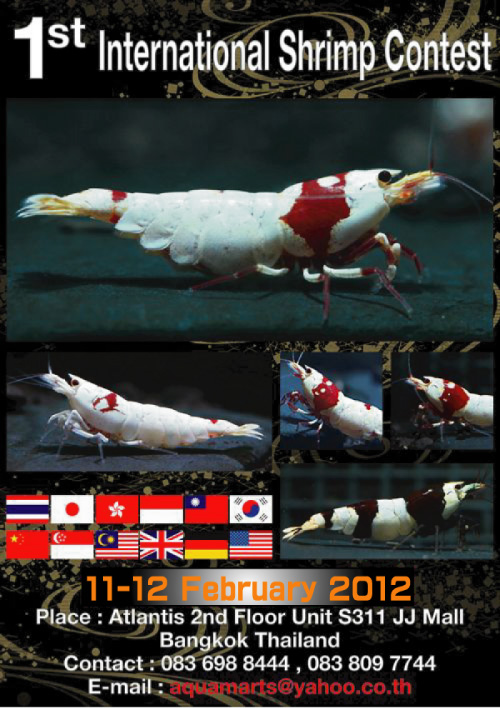 画像: Ｉnternational Shrimp contest 2012