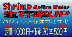 画像: Shrimp Active Wataer100ml【新発売】
