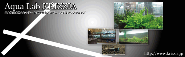 画像: 【新規取扱店】Aqua Lab KRIZZIA様